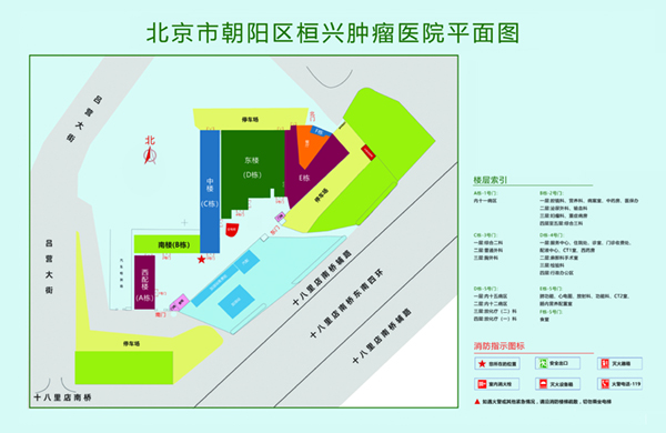 女人透板鸡的网站国产北京市朝阳区桓兴肿瘤医院平面图